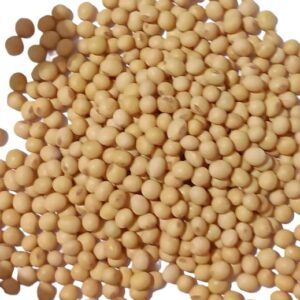 Soja em Grão